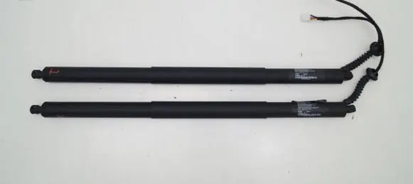 Tesla Model X Tailgate strut 