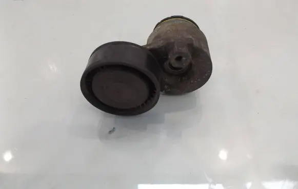Renault Modus Generator/alternator belt tensioner 8200048486