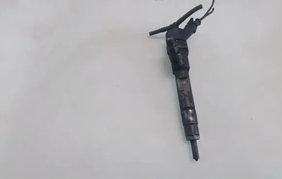 Renault Laguna II Fuel injector 0445110021