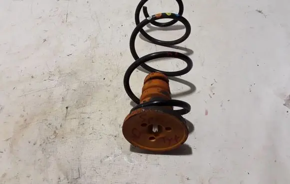 Renault Kangoo III Rear coil spring 550202763R