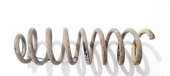 Renault Megane II Rear coil spring