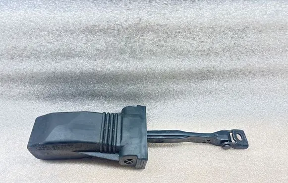 Volkswagen e-Golf Front door check strap stopper 604640 8W8837267 L1493