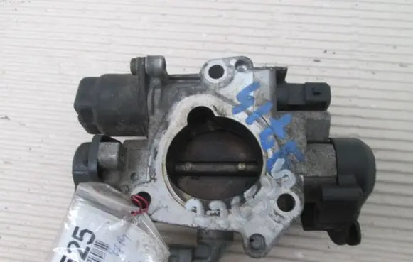 Citroen Saxo Throttle body valve 