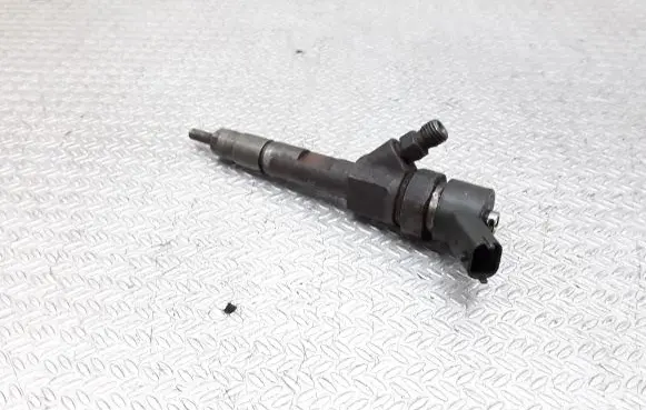 Renault Megane II Fuel injector 0445110110B