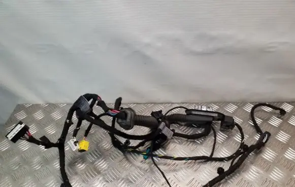 BMW 7 E65 E66 Front door wiring loom 6949384 6913125