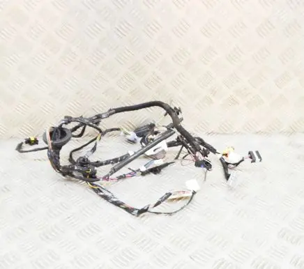 Tesla Model X Other wiring loom 203244200A