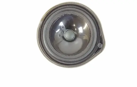 Front door speaker