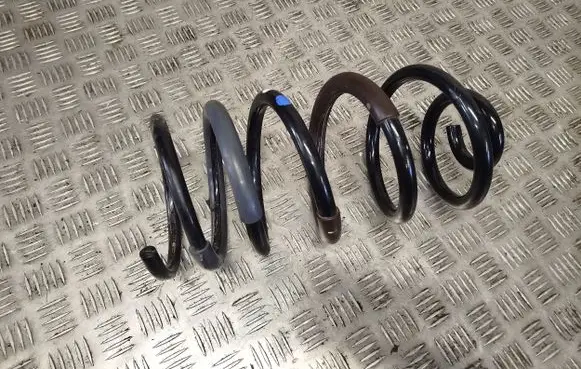 Renault Kangoo III Rear coil spring