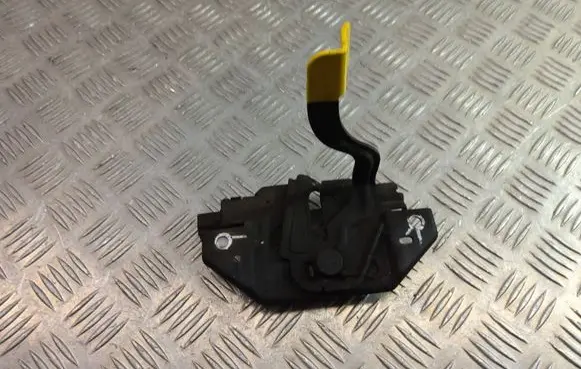 Ford C-MAX II Engine bonnet/hood lock/catch AM5A16700