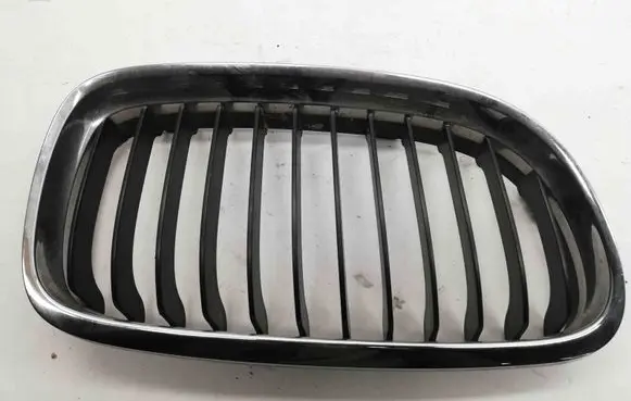 BMW X1 E84 Front grill 7201968