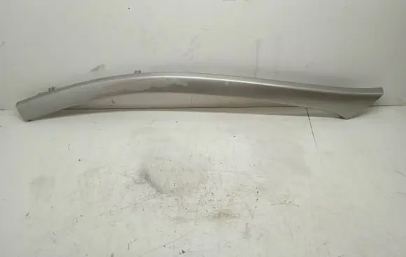 Peugeot 607 Roof trim bar molding cover 300536