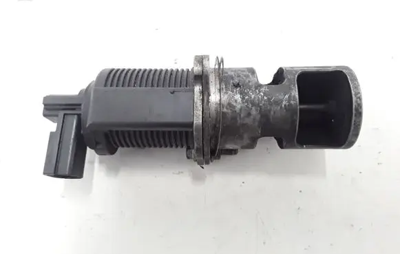 Renault Megane II EGR valve 8200469586