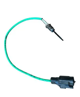 Ford Focus Exhaust gas temperature sensor F1F112B591CB