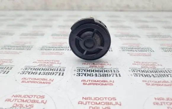 Seat Exeo (3R) Front door speaker