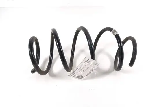 BMW X3 G01 Front coil spring 6884931