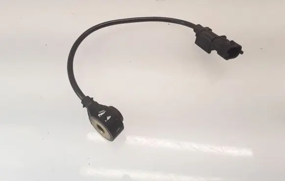 KIA Ceed Detonation knock sensor 9550930006 392502B000