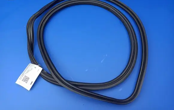 Trunk rubber seal (body)