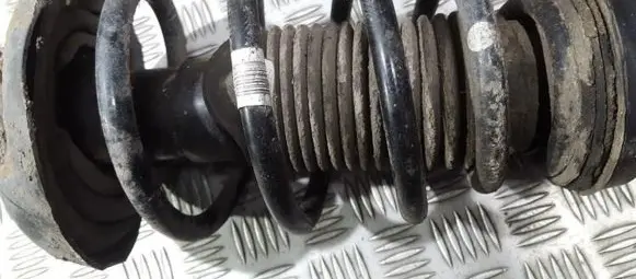 Opel Insignia A Front coil spring