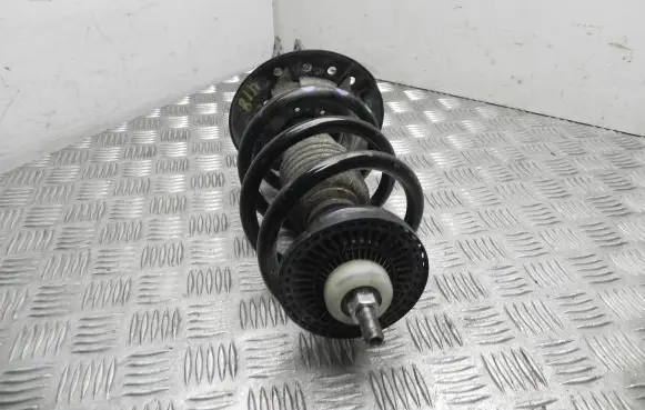 Dacia Sandero Front shock absorber with coil spring 543028508R