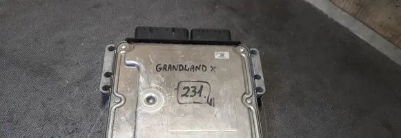 Opel Grandland X Engine control unit/module ECU 9839120680