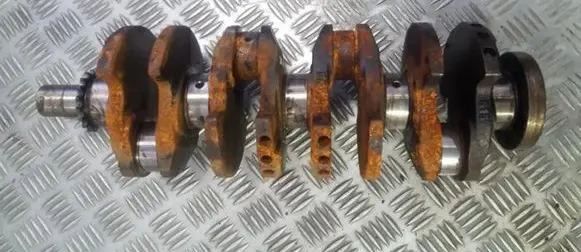 Citroen Saxo Crankshaft 