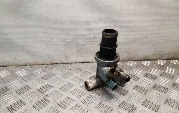 Thermostat/thermostat housing