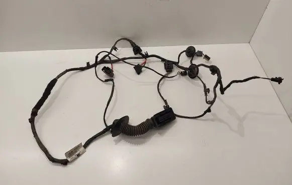 Other wiring loom