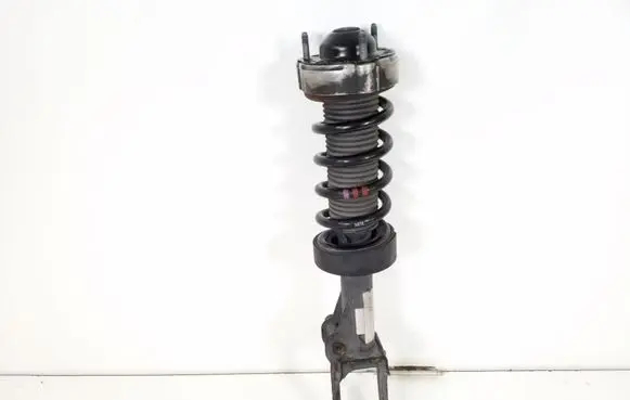 Porsche Cayenne (92A) Front shock absorber/damper 95834304300