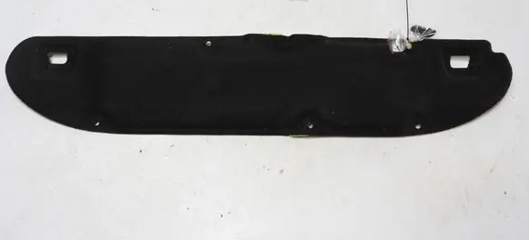 Toyota Urban Cruiser (XP110) Engine bonnet/hood sound/heat insulation 