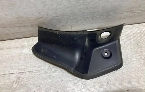 Rear/tail light trim molding