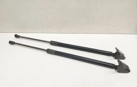 Chevrolet Captiva Tailgate/trunk strut/damper 95494360 05532220813