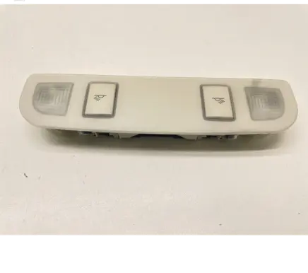 Rear seat light
