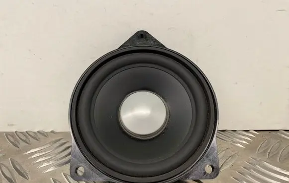 BMW 4 F32 F33 Front door speaker 9169690 65139169690