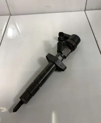 Renault Espace - Grand espace IV Fuel injector 0445110084