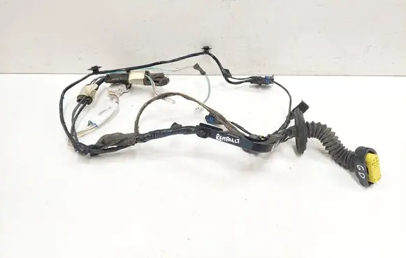 Renault Espace - Grand espace IV Rear door wiring loom 8200517597