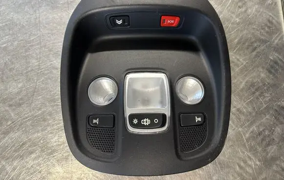 Citroen DS4 Front seat light 9688502077
