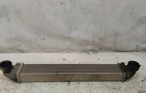 Mercedes-Benz A W169 Intercooler radiator A1695000000 B0278