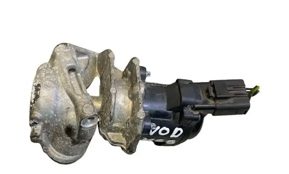 EGR valve