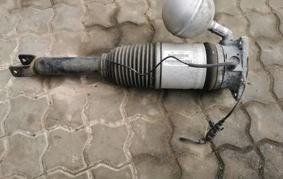 Volkswagen Phaeton Rear shock absorber/damper 3D0616001K F0463D18AR