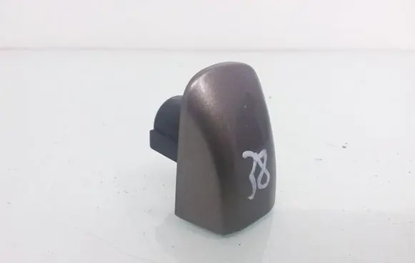 Volvo S80 Rear door handle cover 39998272