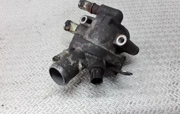 Thermostat/thermostat housing