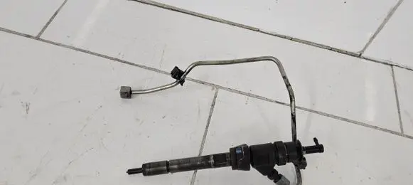 Citroen C4 I Picasso Fuel injector 0445110297