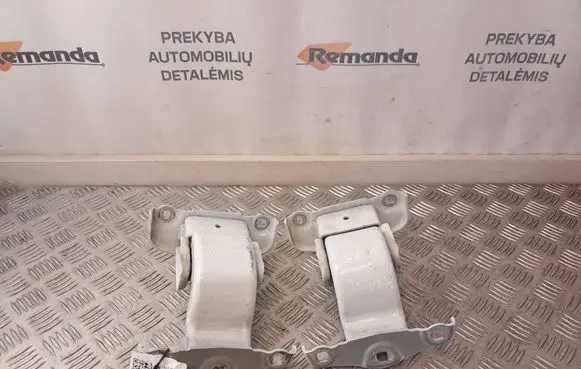 Renault Trafic III (X82) Rear door hinge set 904006707R 9345893