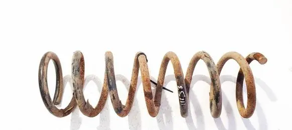 Ford C-MAX I Rear coil spring 
