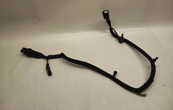 Dodge Charger Other wiring loom