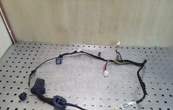 Rear door wiring loom