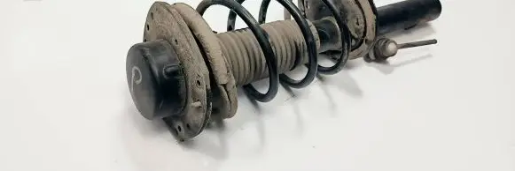 Peugeot 206 Front shock absorber/damper