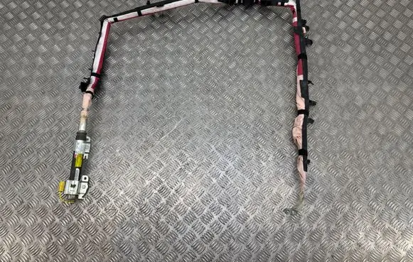 Honda Insight Roof airbag 116508500
