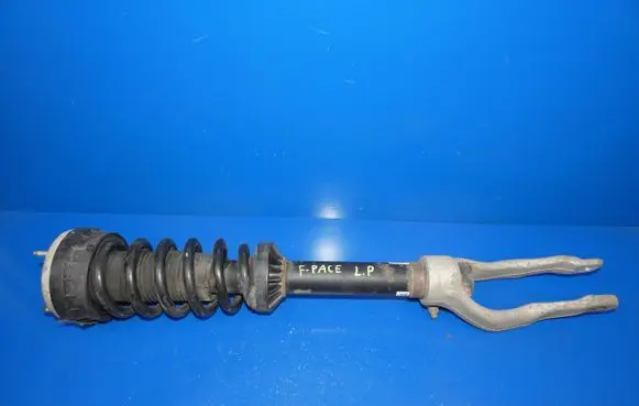 Jaguar F-Pace Front shock absorber with coil spring HK8318B036ME GHZVA 20160710123437B