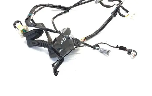 Lexus IS III XE30 Front door wiring loom 
